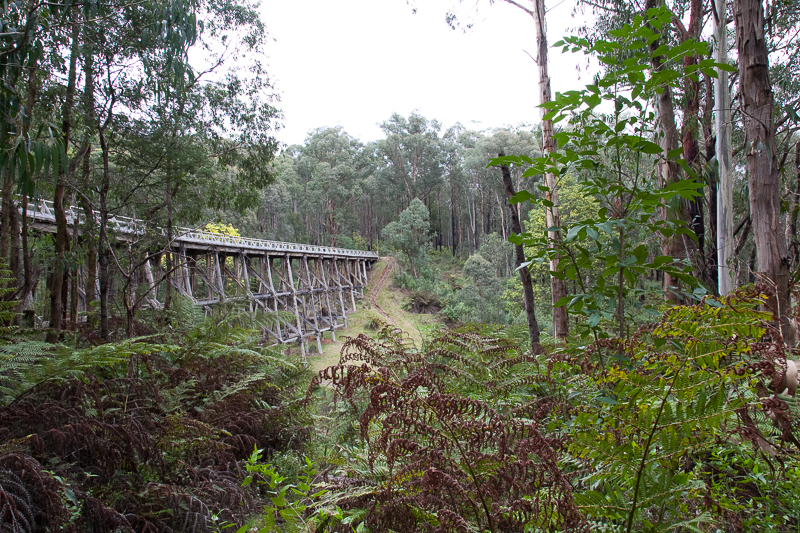 Noojee Trestle Bridge from below