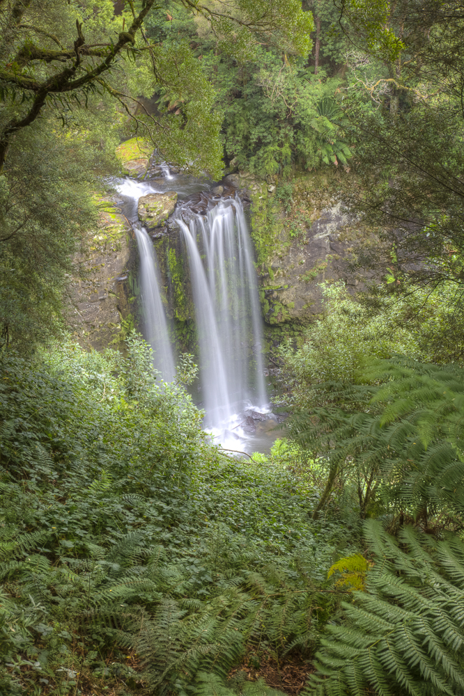 Hopetoun Falls from above through the trees