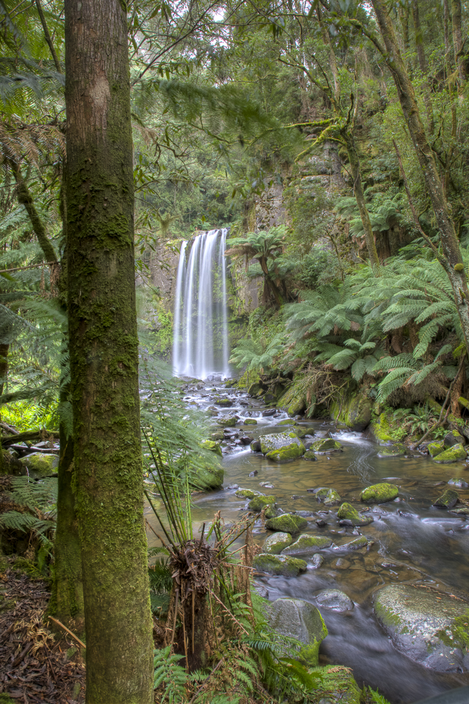 Hopetoun Falls from downstream through the trees