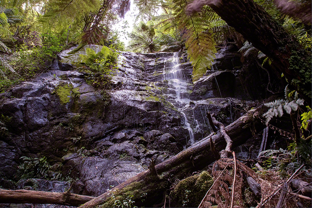 Bruthen Creek Falls from the stream