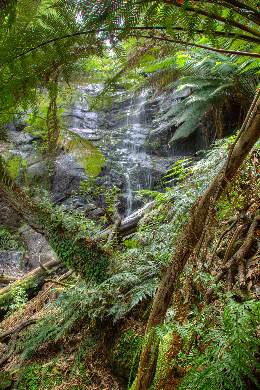 Bruthen Creek Falls from the path