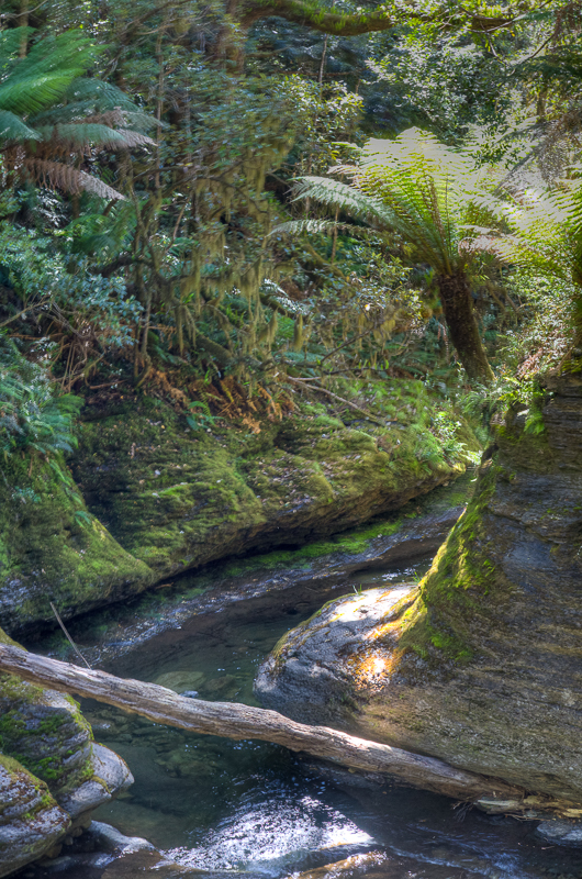 The Creek at Westmoreland Falls