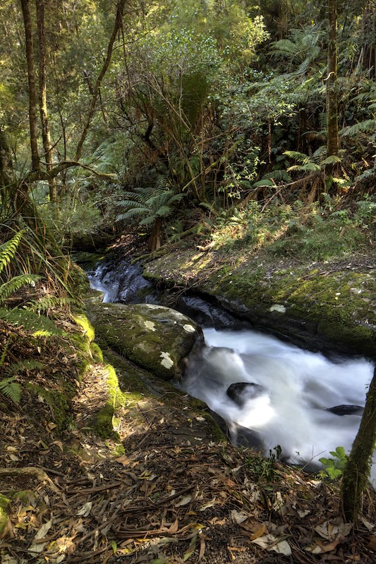 Triplet Falls