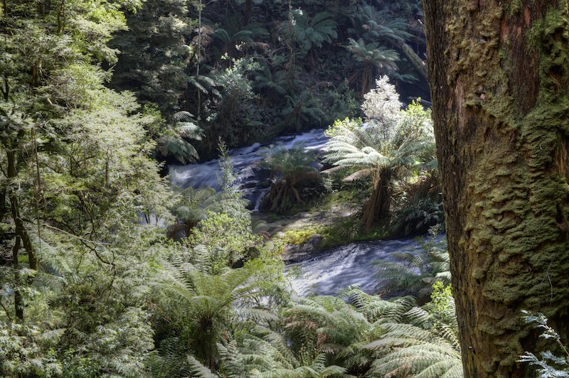 Triplet Falls