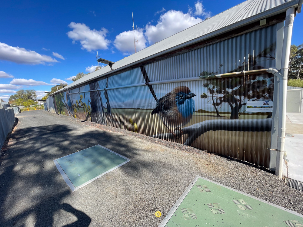 The Mallee Emu-Wren Mural