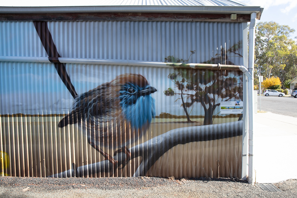 Dimboola Mallee Emu-Wren