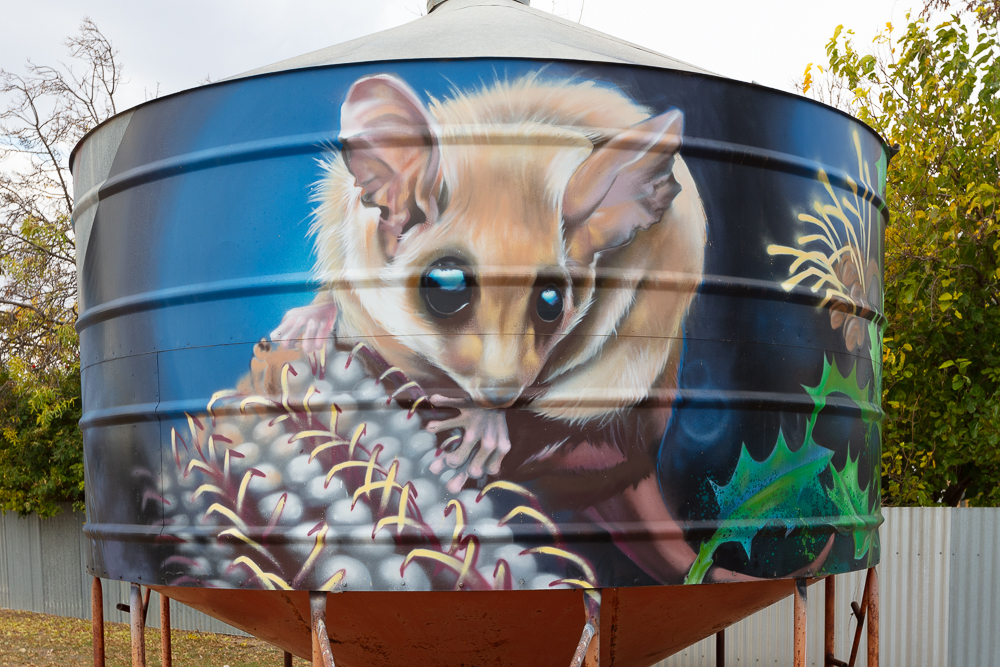 Woomelang Silo Pygmy Possum