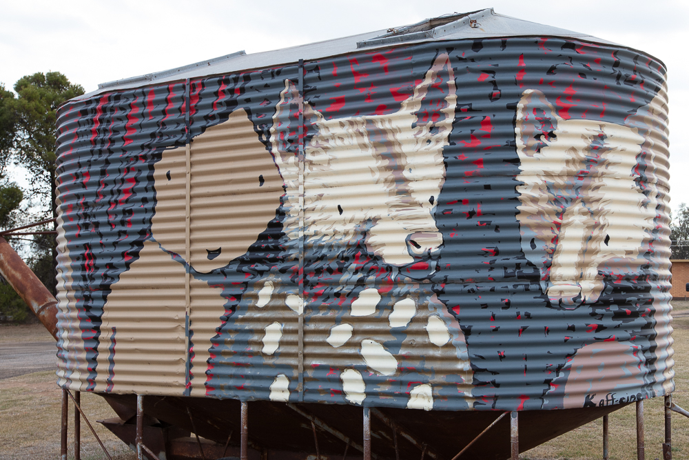 Woomelang Silo Spotted Tail Quoll