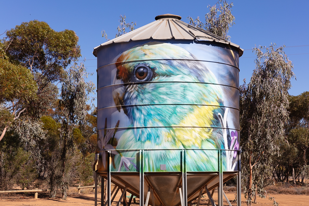 Werrimull Mini Silo Mallee Ring Neck Parrot