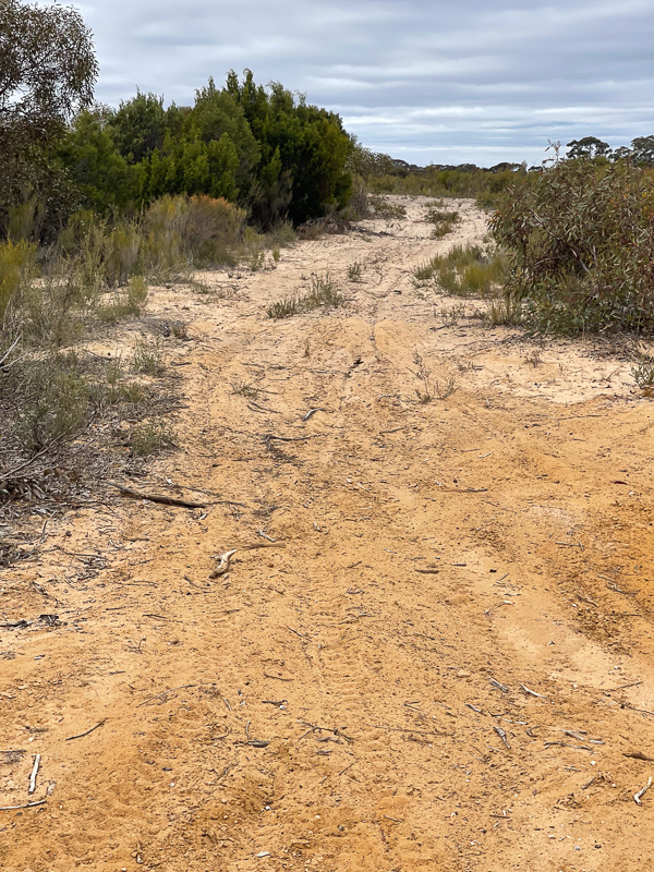 Big Desert - endless sand roads