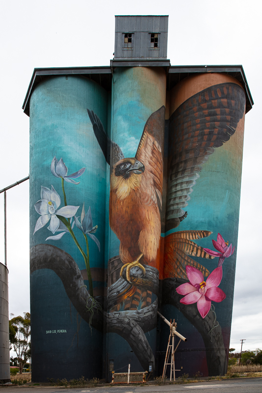 Kaniva Silo Art