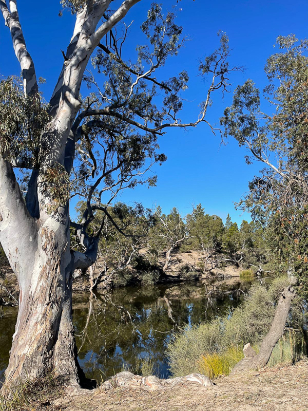 Wimmera River