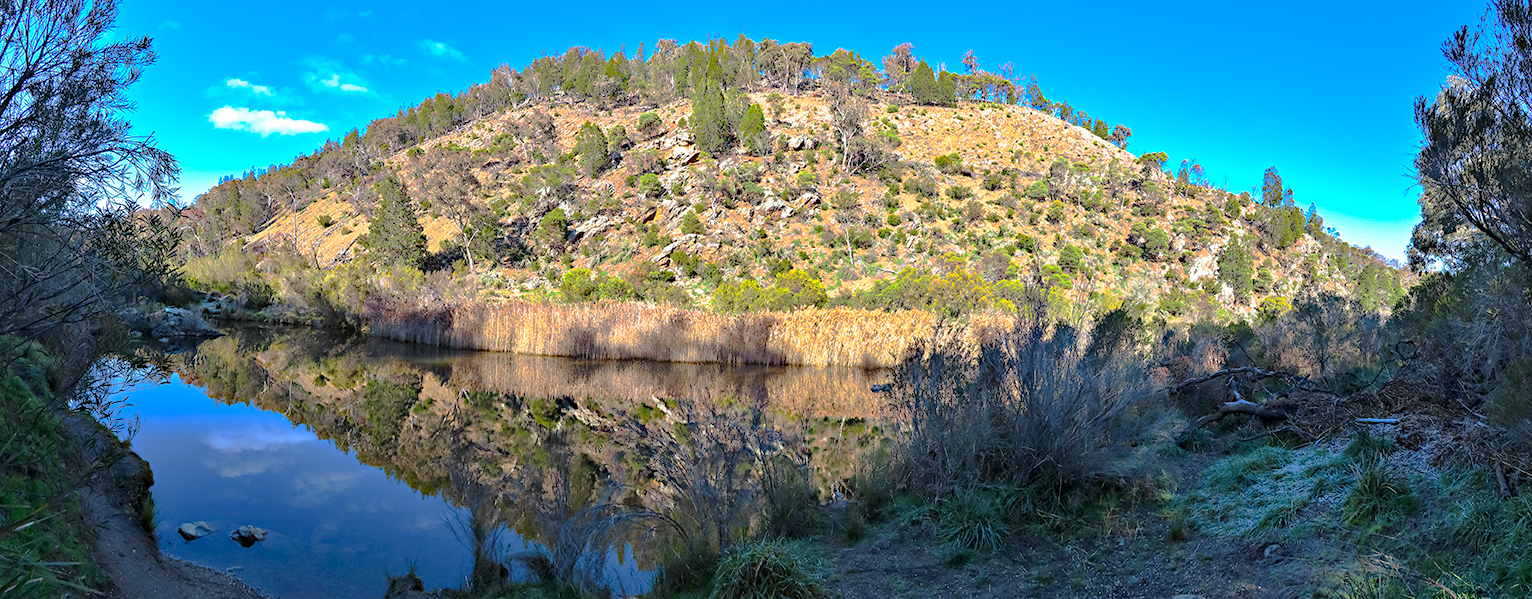 Shepards Lookout