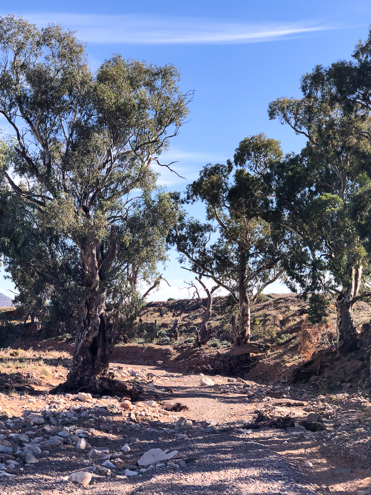 Flinders Ranges River Crossings