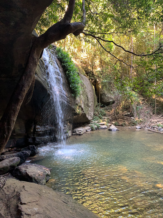 Buderim Falls from the side of the river below the falls