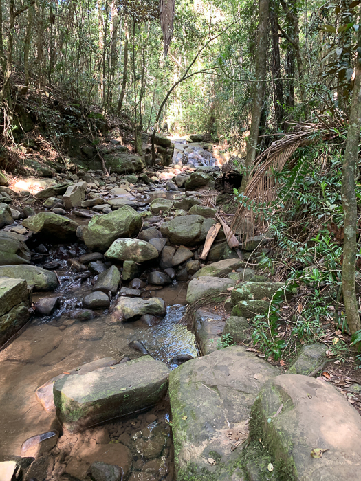 Buderim Falls Walk view from bridge