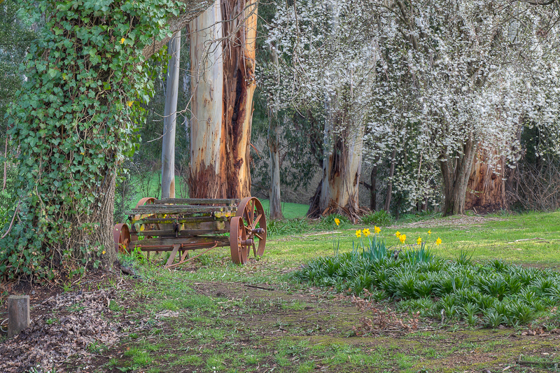 Noojee Outback Retreat