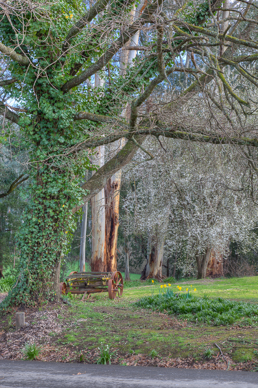 Noojee Outback Retreat