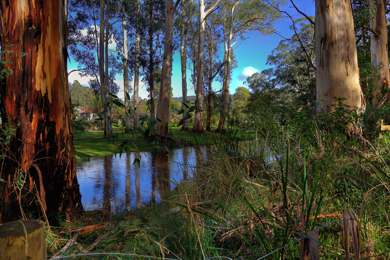 River at Noojee