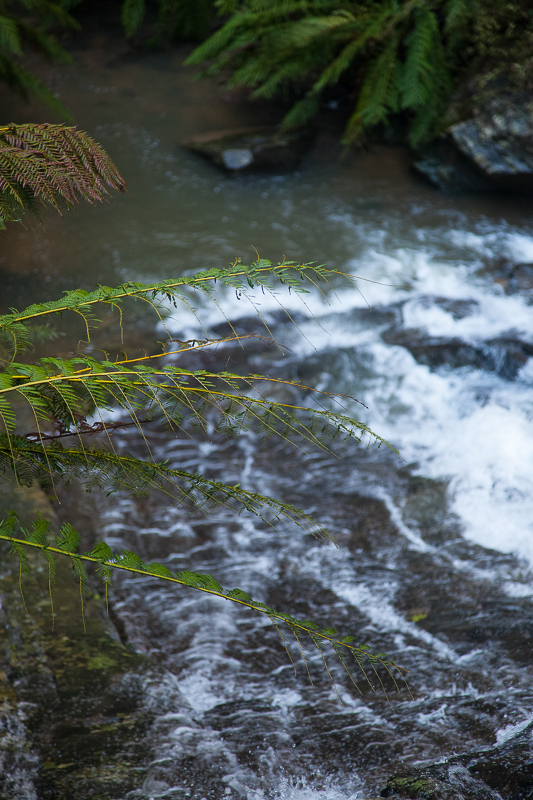 Tarra Falls