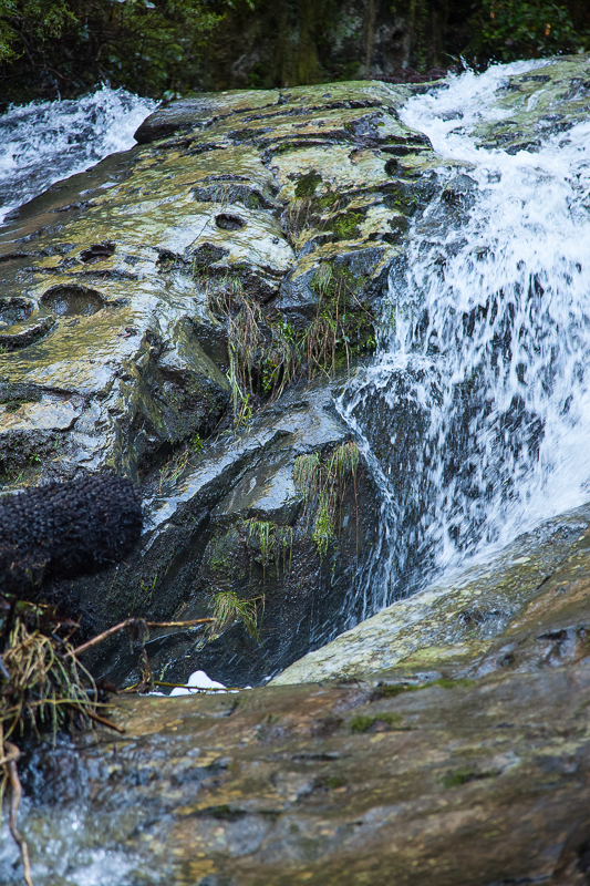 Tarra Falls