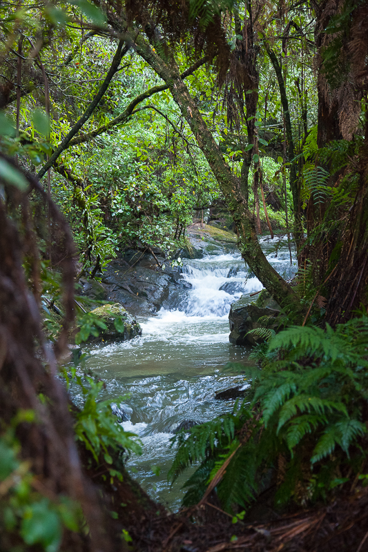 Tarra Falls