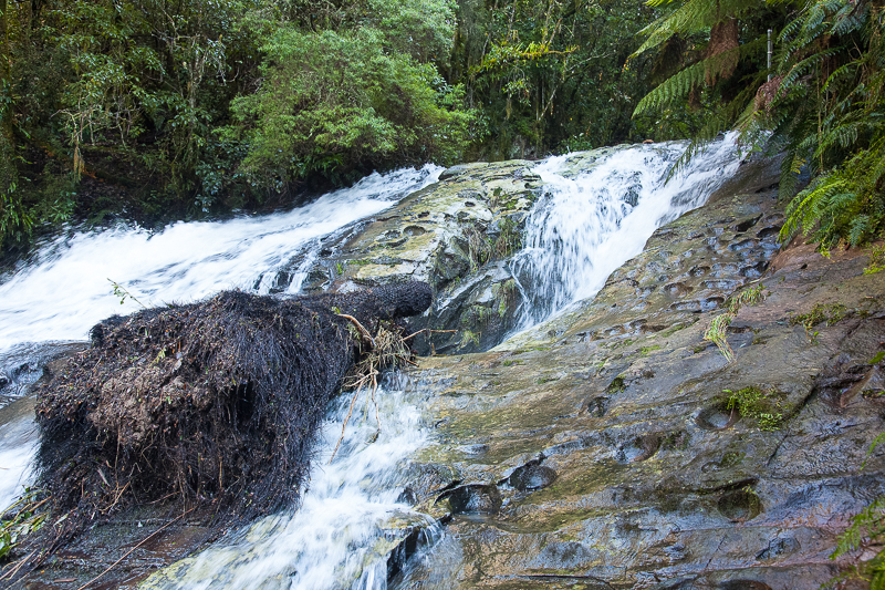 Tarra Falls in the Tarra-Bulga National Park